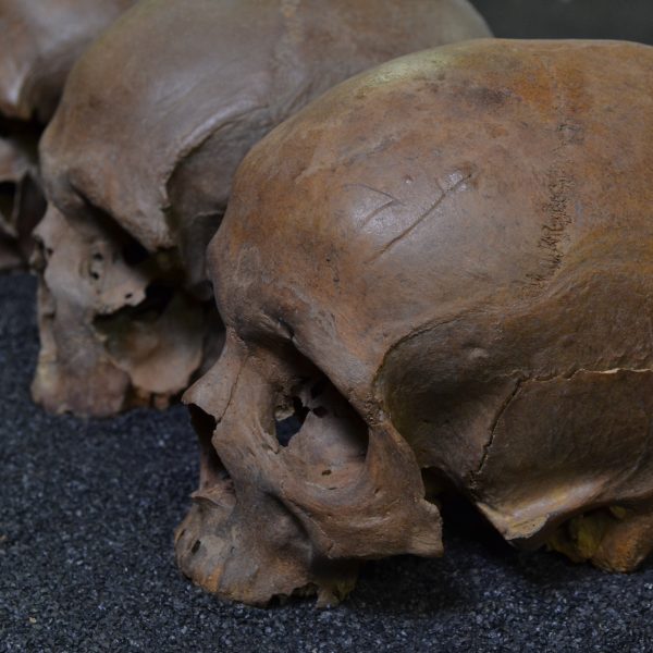 Mystery Of The Crossrail Skulls