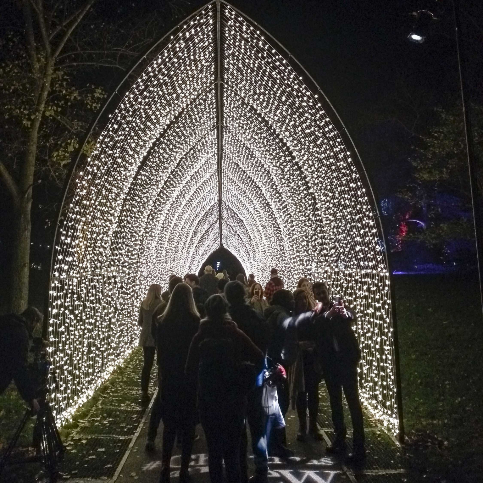 Lighting Up Christmas True North